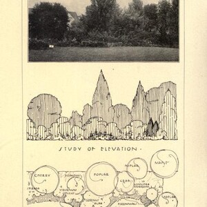 May include: A black and white illustration of a garden plan with a key showing the names of different plants, including cherry, maple, poplar, crab, viburnum, and juniper. The illustration shows the placement of the plants in a garden.