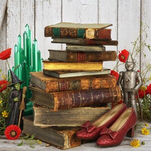 35 Rare Old Books on The Wizard Of Oz L Frank Baum Illustrated Childrens Fantasy Dorothy Emerald City Collection | Size 915.2 MB