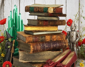 May include: A stack of weathered, antique books sits beside a green crystal structure, a small witch figurine holding a broom, a metallic robot figure, and a pair of sparkling red high-heeled shoes, all surrounded by scattered red and yellow flowers.