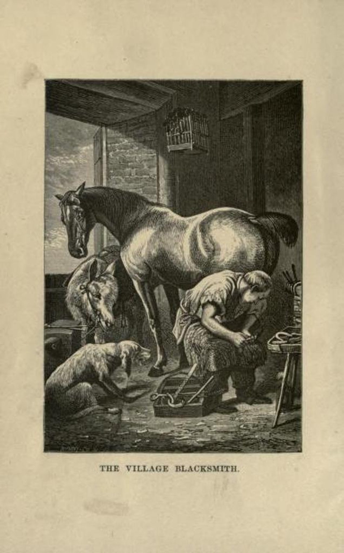 98 Rare Horsemanship & Farrier Books PDF Download Horse Etsy