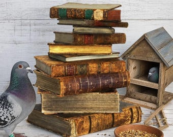 May include: A stack of weathered, antique hardcover books with worn leather spines and gold-gilded edges. Beside the books stands a grey pigeon with a green leg band, a small wooden birdhouse containing another pigeon, and a bowl of birdseed.