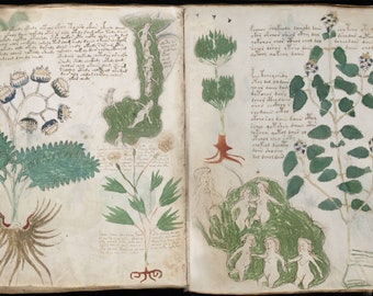 The Voynich Manuscript - PDF Download - Mysterious Medieval Book Codex Secret Mystery Language Writing Occult Art Herbs Decoded Medicine