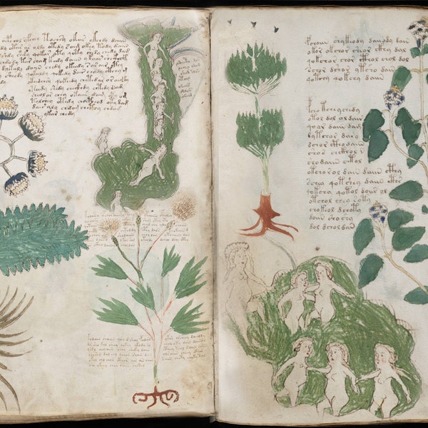 The Voynich Manuscript - PDF Download - Mysterious Medieval Book Codex Secret Mystery Language Writing Occult Art Herbs Decoded Medicine