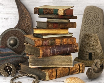 May include: A stack of antique leather-bound books with weathered pages, accompanied by a bronze-colored brooch, a twisted metal bracelet with animal head terminals, a small stone-like structure, a carved wooden shield, and a seashell.