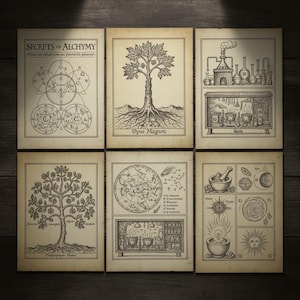 570 zeldzame occulte boeken | Collectie De geheimen van alchemie en occulte chemie | Directe pdf-download | Occultisme: hekserijfilosofie afbeelding 16