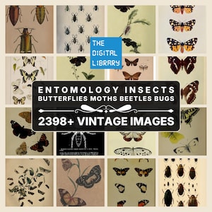 Könnte beinhalten: Eine digitale Sammlung von 2398+ Vintage-Entomologie-Bildern mit verschiedenen Insekten, Schmetterlingen, Motten, Käfern und Wanzen. Die Anzeige enthält ein Raster historischer Illustrationen mit einem zentralen schwarzen Etikett mit der Aufschrift THE DIGITAL LIBRARY ENTOMOLOGY INSECTS BUTTERFLIES MOTHS BEETLES BUGS 2398+ VINTAGE IMAGES.