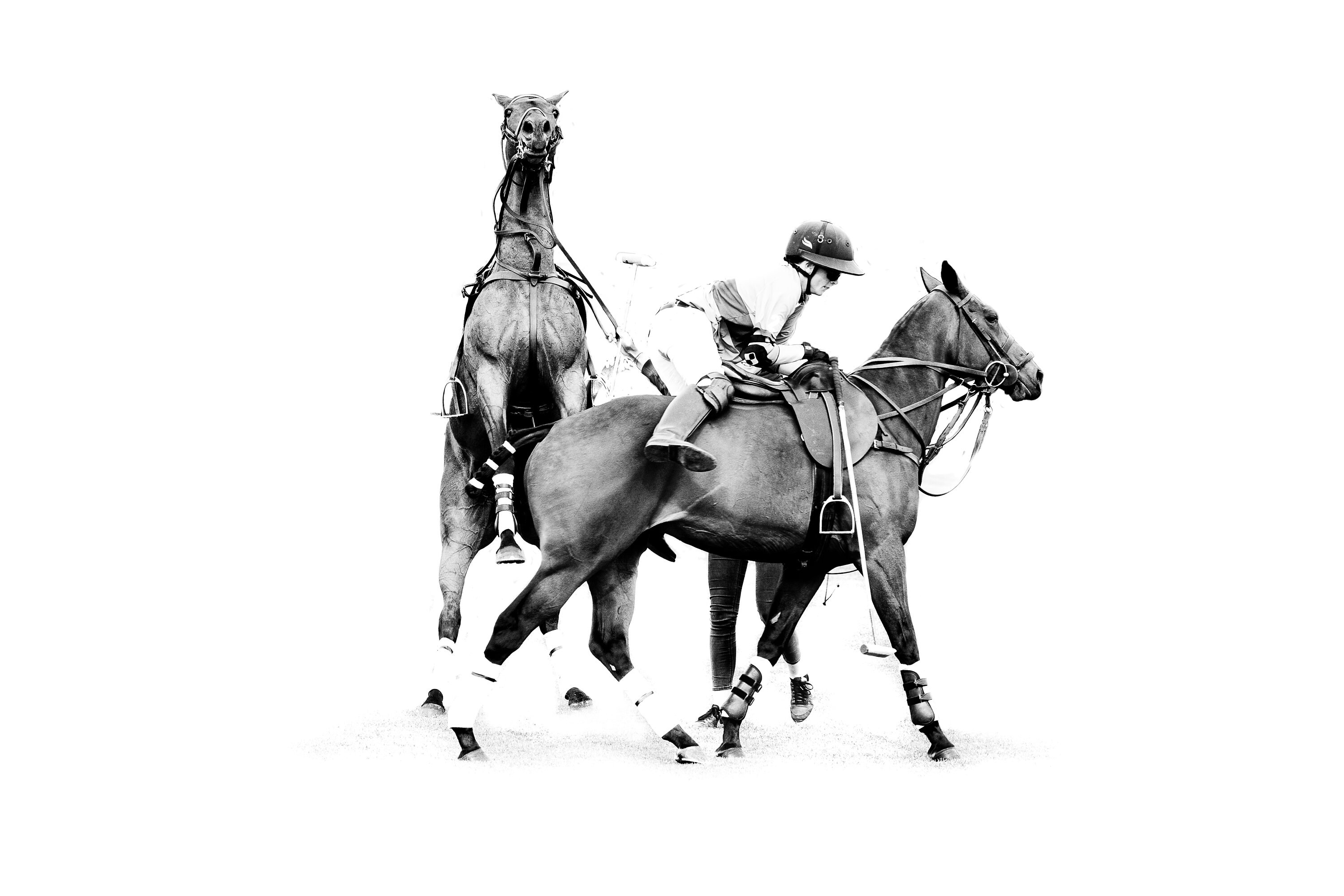High Key Photographic Polo Print Polo Horses & Players Etsy