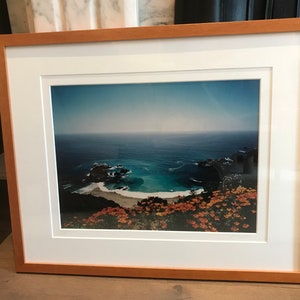 Locke Heemstra gerahmt signiert und nummeriert 21&quot; x 17&quot; Big Sur Poppies Foto
