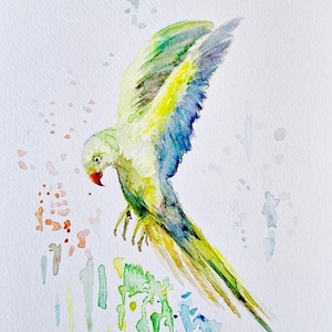 Parrot  painting  original watercolor parrot  illustration tropical bird  home decor wall Art- 9 inch x 7  inch