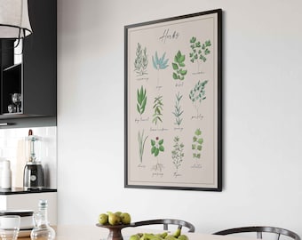 Herbs Print Herbs Chart Kitchen Herbs Chart Food Illustration Herbs and Spices Herbs Poster Botanical Herb Print Kitchen Herbs Decor