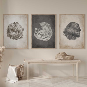 Beige Tree Ring Print Set of 3: Nordic Modern Wall Art (Digital Download)