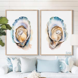 May include: Two watercolor paintings of oyster shells with pearls inside. The shells are open and the pearls are visible. The paintings are on white backgrounds and have a light blue, green, and brown color scheme.
