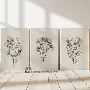 Set di tre disegni di fiori selvatici: fiori di campo beige, stampe murali botaniche, stampe floreali neutre, fiori di campo disegnati a mano