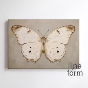 May include: A white butterfly with brown markings on its wings is depicted against a beige background. The butterfly is centered in the image and its wings are spread open.