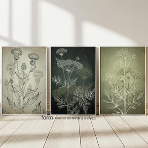Sage Green Floral 3er Set, Wildblumen Zeichnung, Wiese Wildblumen, Botanische Wanddrucke, Blumendrucke, Sage Green Blumen