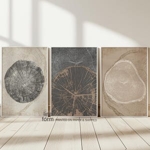Könnte beinhalten: Set aus drei abstrakten Wandbildern mit Baumringen in Braun-, Grau- und Beigetönen. Die Drucke sind in Weiß gerahmt und haben eine minimalistische Ästhetik.