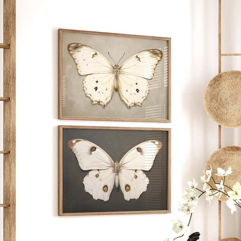 May include: Two framed prints of white butterflies with brown markings on a white wall. The top print has a beige background and the bottom print has a dark gray background.