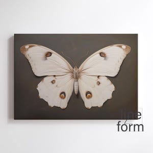 May include: A white butterfly with brown markings on its wings is displayed against a dark brown background.