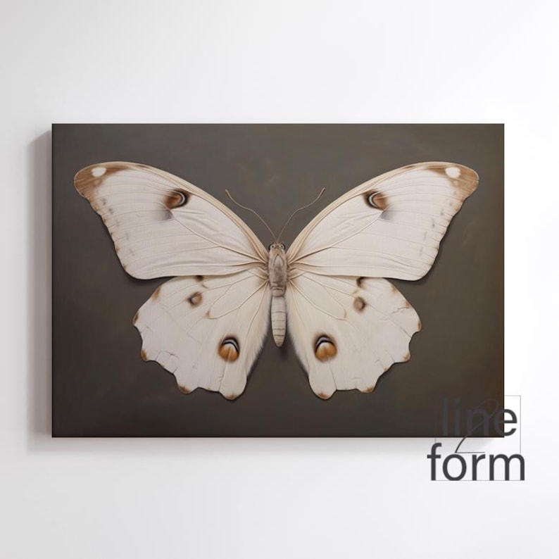 May include: A white butterfly with brown markings on its wings is displayed against a dark brown background.