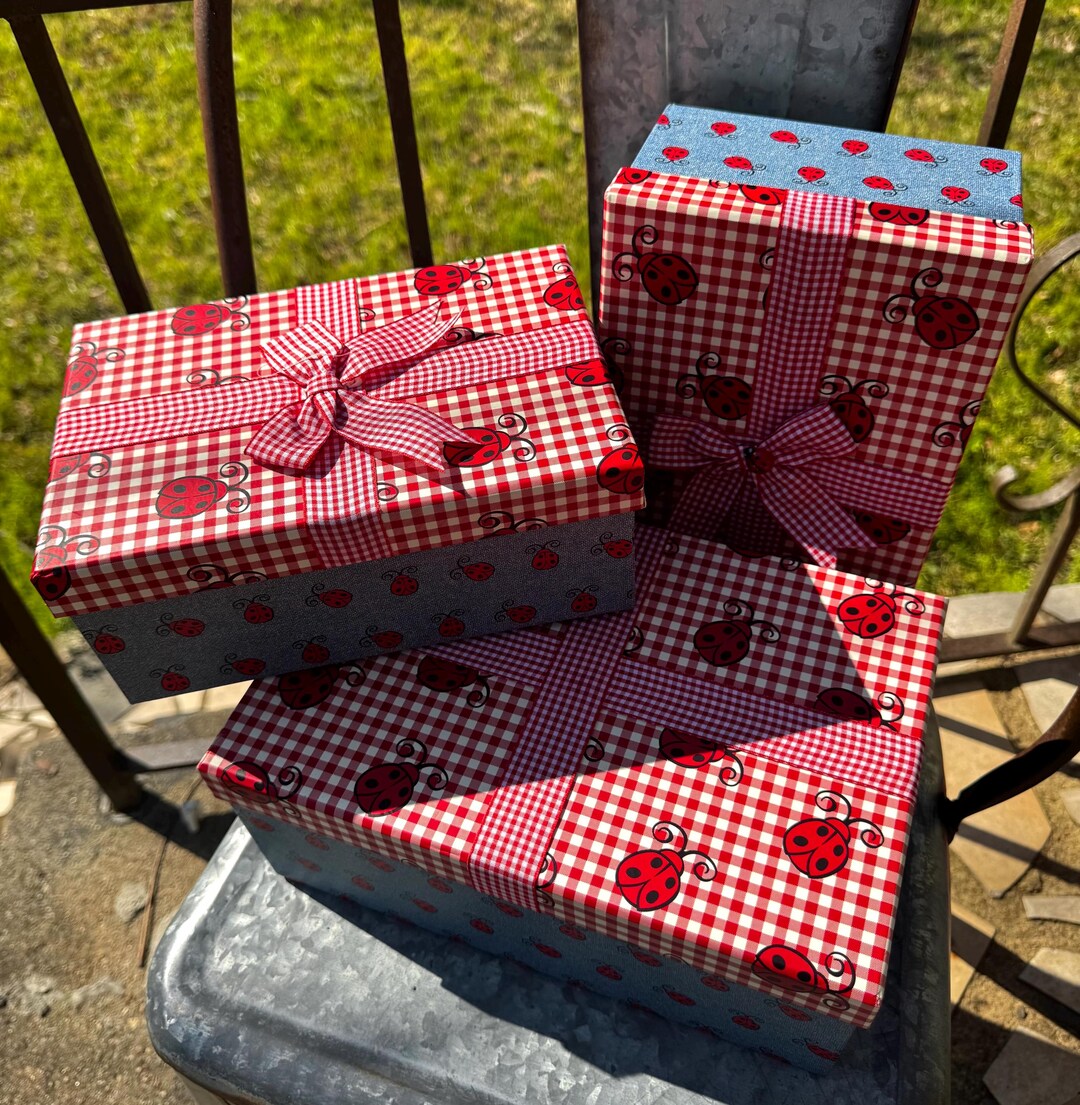 Ladybug Set Box Vintage Ladybug Storage Boxes Set | Red Gingham Cottagecore Decor ...