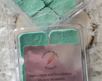 Shower Steamers - Spearmint & Eucalyptus - Shower Bombs- Shower Fizzies - Gifts for Him and Her