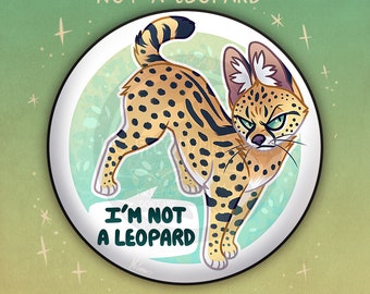 CARA REOPARD (I’M NO’T A TROPHY) il_340x270.4809775697_78uy.jpg