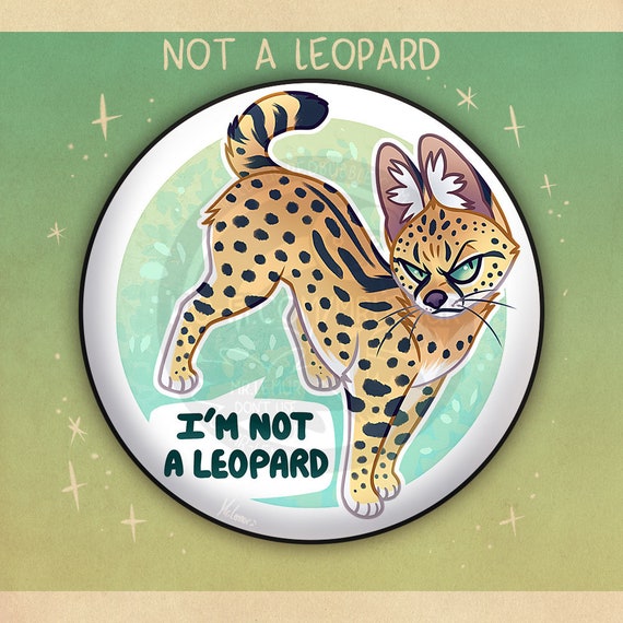 i'm Not A..” BADGES: Serval & Caracal - Etsy