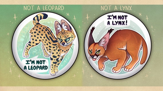 i'm Not A..” BADGES: Serval & Caracal - Etsy