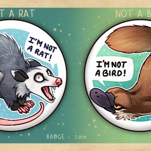 "I'm not a.." BADGES: Opossum & Platypus