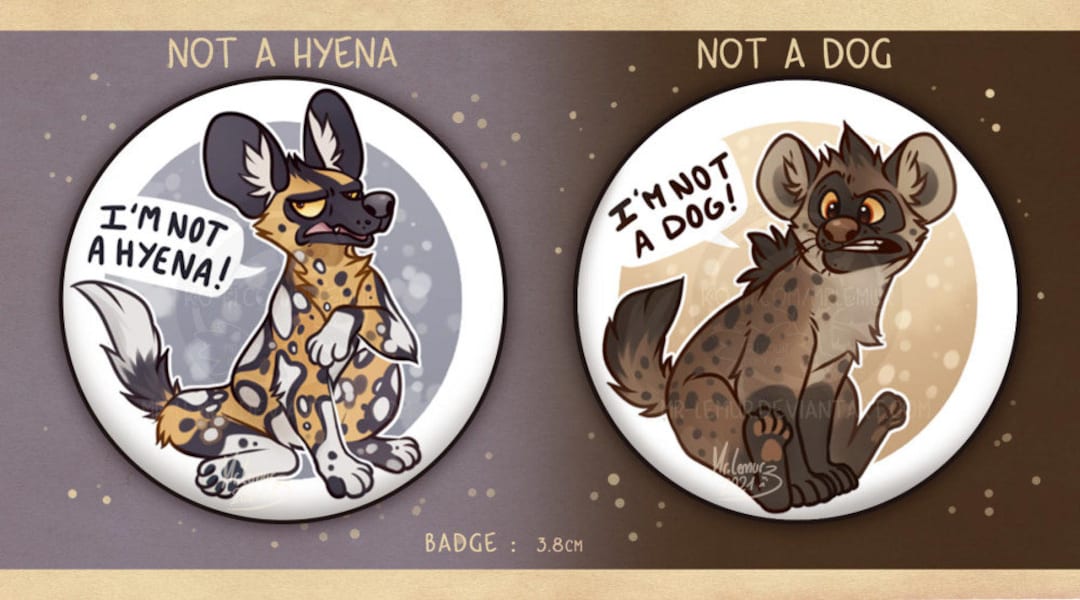 BADGES 