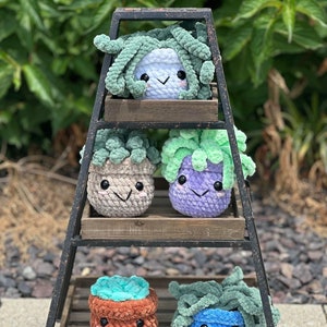 Crochet Succulent Plushie- Handmade Amigurumi Plant Toy, Stuffed Fake Succulent, Cute Shelf Decor, Gift For Plant Lover or Office Desk