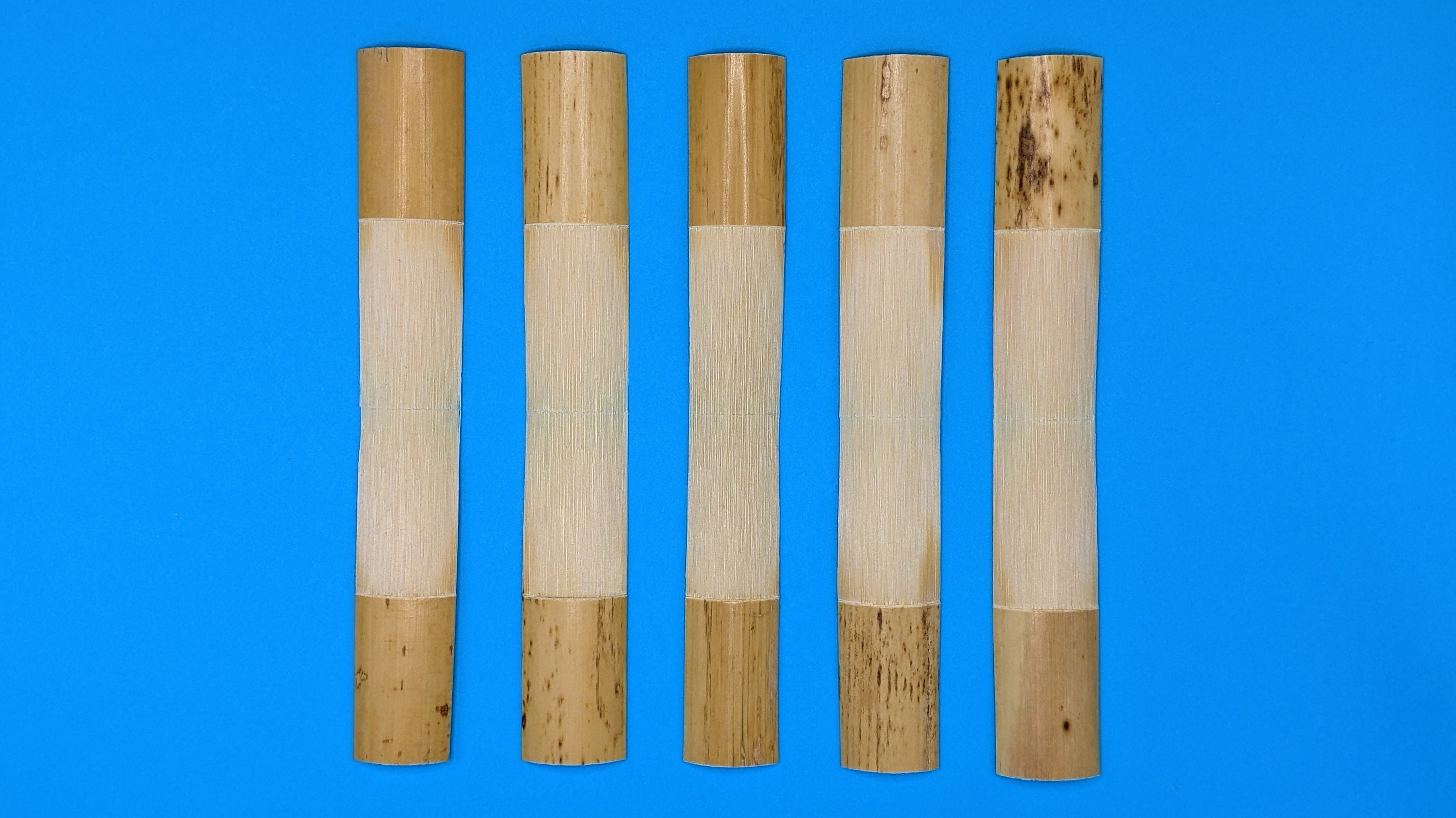 Products — The Reed Lab