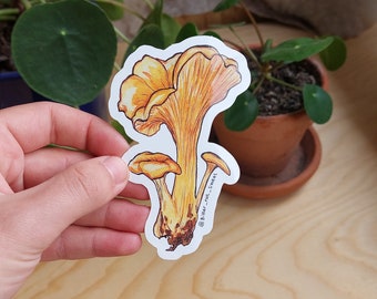 Mushrooms stickers, vinyl