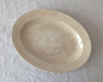 Antique Dutch Ironstone Oval Serving Platter, Petrus Regout Maastricht, late 1800s