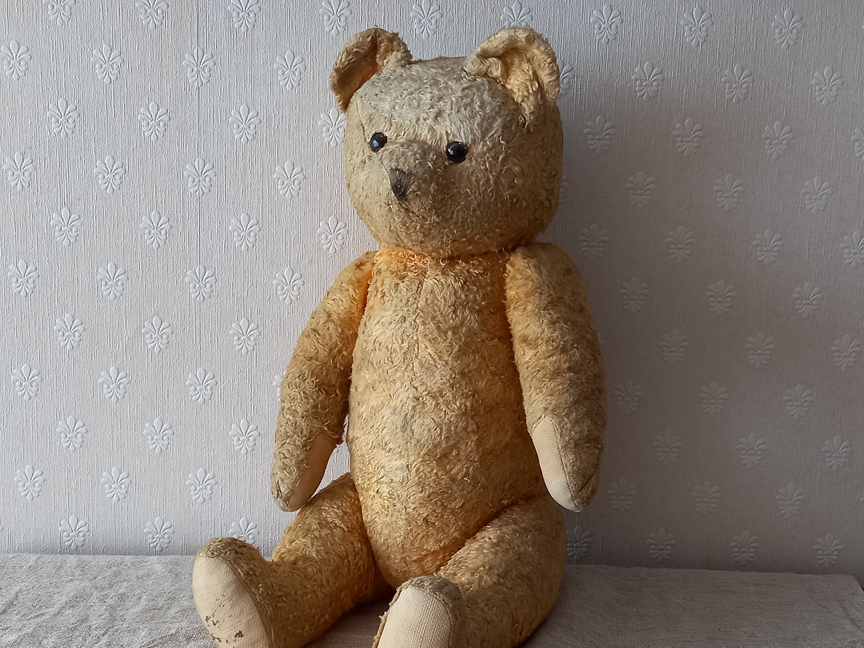 Ancien ours en peluche français, 17 pouces 44 cm, paille