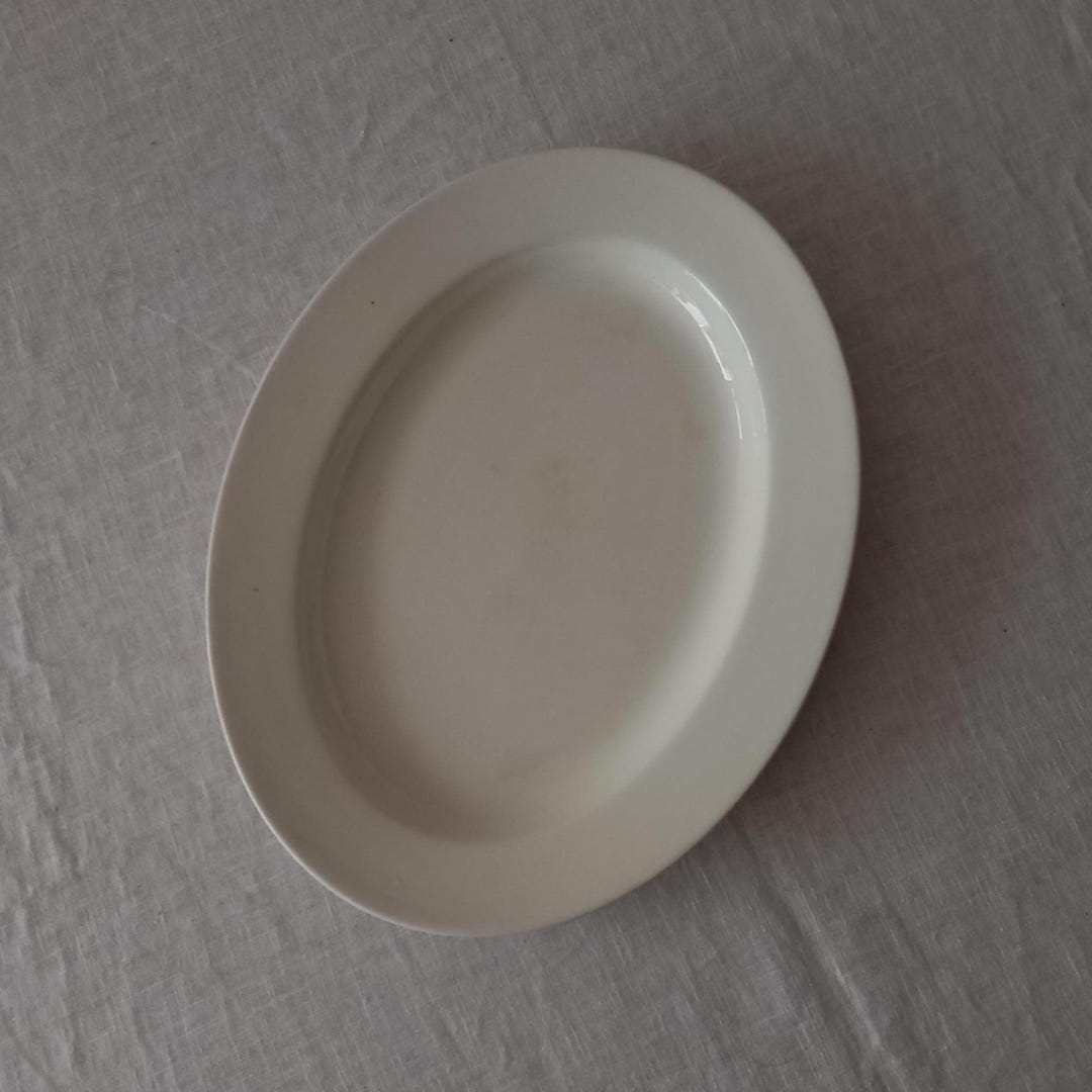 Antique Dutch Ironstone Oval Serving Platter, Petrus Regout Maastricht ...