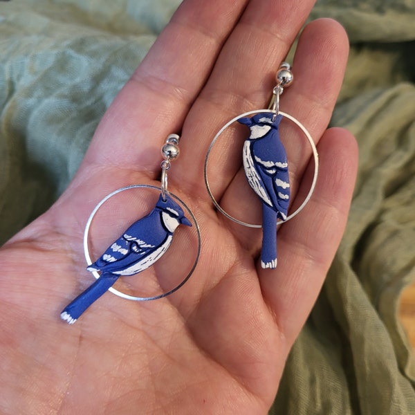 Hand Painted Blue Jay Earrings, Birds Earrings, Bird jewelry, Small bird earrings, Winter Earrings, Bird Lover, Nature, Canadian Wildlife