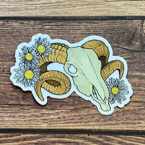 Widder Schädel Aufkleber | Vinyl | Die Cut | Matt | Hydroflask | Wasserflasche | Laptop | Cowboy | Land | Florale Punk-Ästhetik | Geschenke für Sie