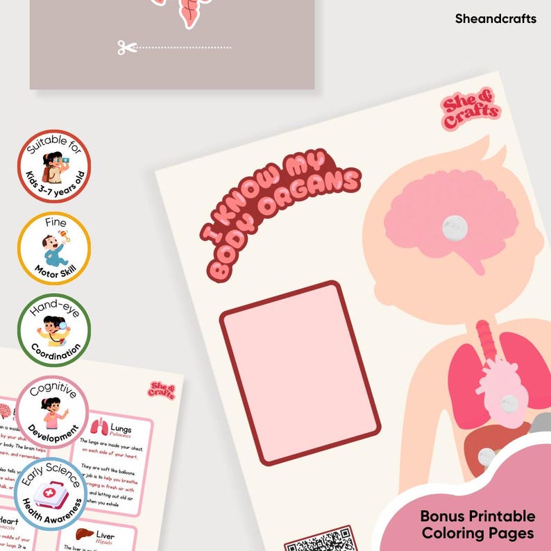 Printable Human Body Organs Activity for Kids | Montessori Anatomy ...