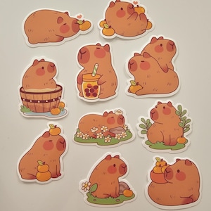 Niedliche Kawaii Orange Capybara Aufkleber