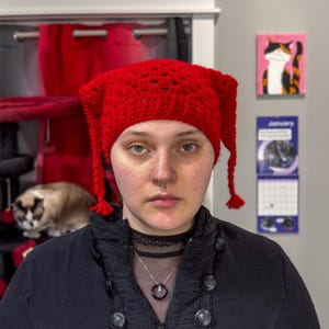 May include: A red crocheted hat with pointed tips and braided tassels. The hat is worn by a person wearing a black jacket and a silver necklace. A cat painting and a calendar are visible in the background.