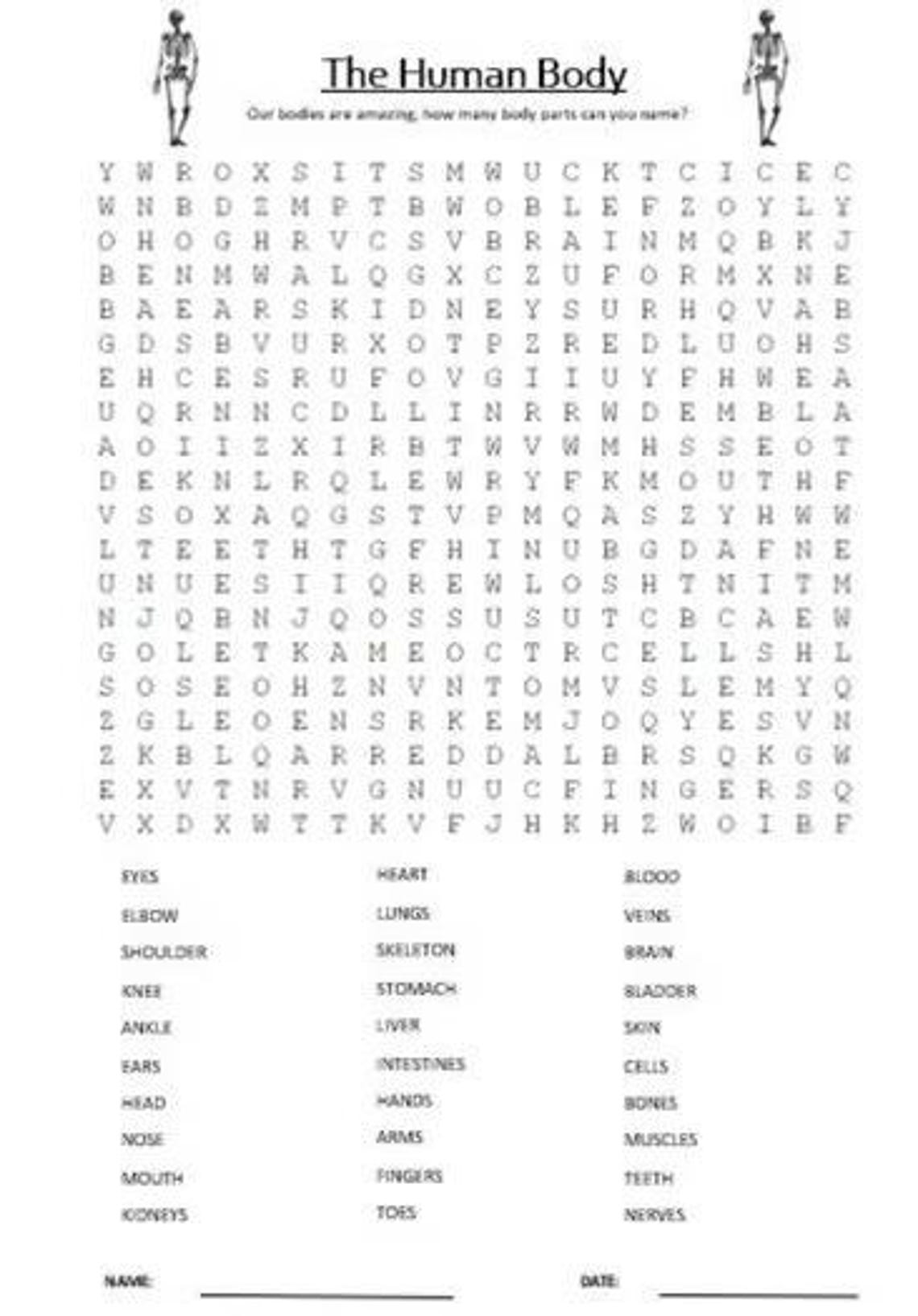 52 Word Search Bundle for Young Kids - Etsy