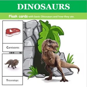 Dinosaur flash cards