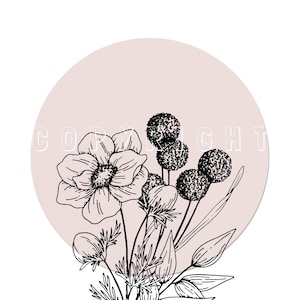 Minimalist Blush Pink Floral Line Drawing Canvas