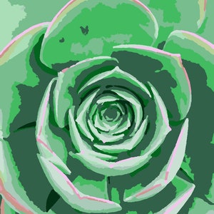Op de afbeelding: Een close-up van een groene succulent met een spiraalvormig patroon in het midden. De plant heeft een rozetvorm met overlappende bladeren.