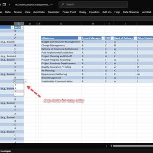 Peut inclure: Capture d'écran d'une feuille de calcul avec un tableau montrant les étapes du projet, les rôles et les responsabilités. Le tableau comprend des colonnes pour le chef de projet, le CTO, le responsable de la livraison et d'autres parties prenantes. Un menu déroulant est visible.