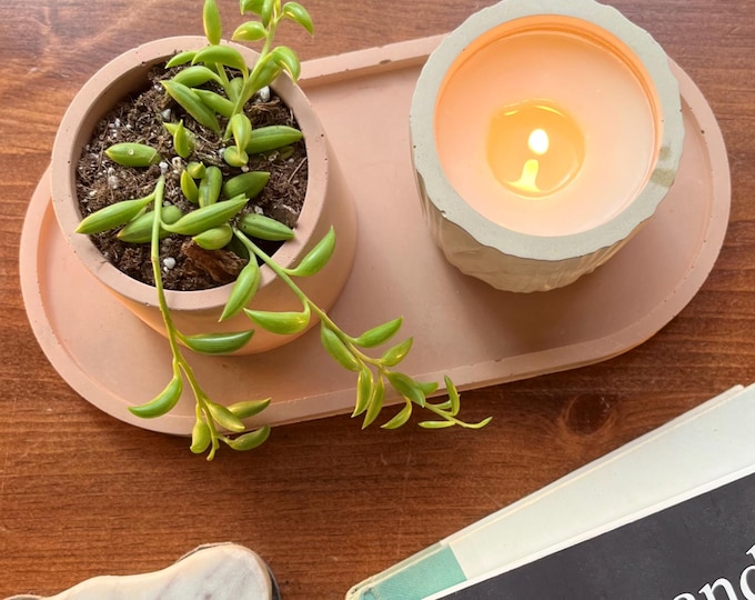 Plant Gift Box with Matching Candle & Tray | Gift Set | Holiday Gifting