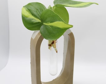 Concrete Propagation Station | Modern Plant Vase, Minimalist Decor