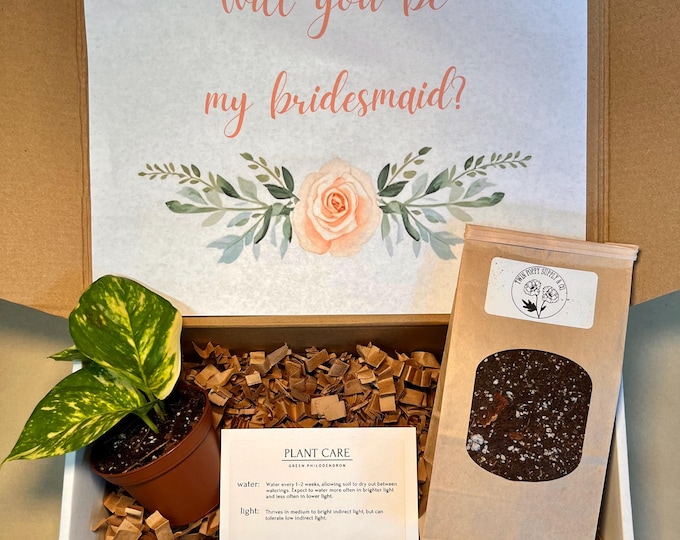 Bridesmaid & Maid of Honor Proposal Plant Gift Box