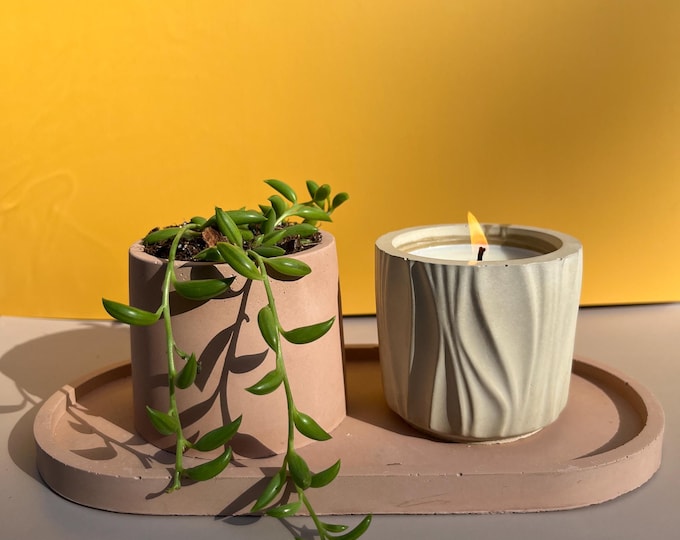 Warm Sugar & Spice | Hand-Poured Scented Soy Candle | Cozy Small Batch Christmas Gift